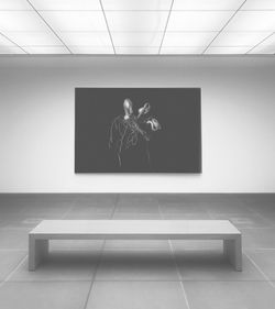 Digital Display Solutions