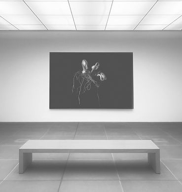 Minimalist Art Exhibit