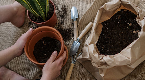 Compost Soil Manure Mulch