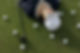 Golf Player