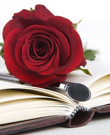 Lovely red rose and pen on a classic notebook