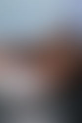 The Benefits of Daily Blogging