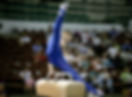 Gymnastics Horse