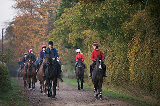 A group of riders on a forest trail