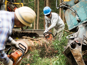 Income Tax, SST, RPGT and Stamp Duty - Exemptions Malaysia - COVID-19 Measures, includes Budget 2022