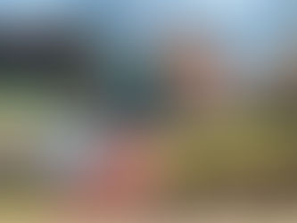 Sostituzione della consorziata e self cleaning