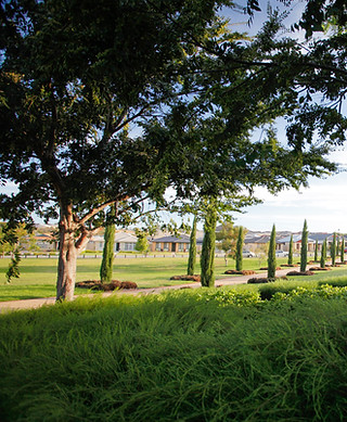 Green Suburb