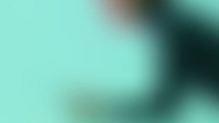 בוני אתרים בוויקס