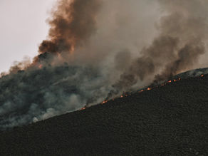 Wild fires burning