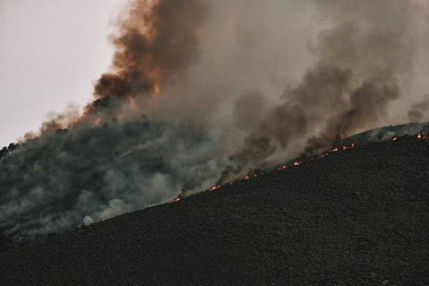 Wildfires