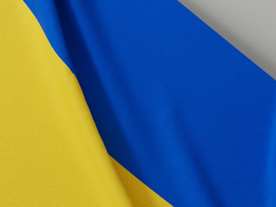 Михайло Грушевський: від історика до Президента