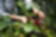 Vietnamese farmers picking up coffee beans