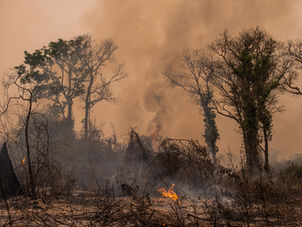 After Maui fires, human health risks linger in the air, water and even surviving buildings