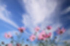 Cielo d'autunno