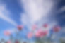 秋の空