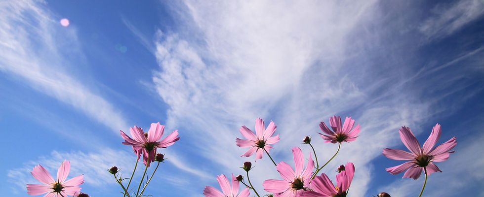 Autumn Sky