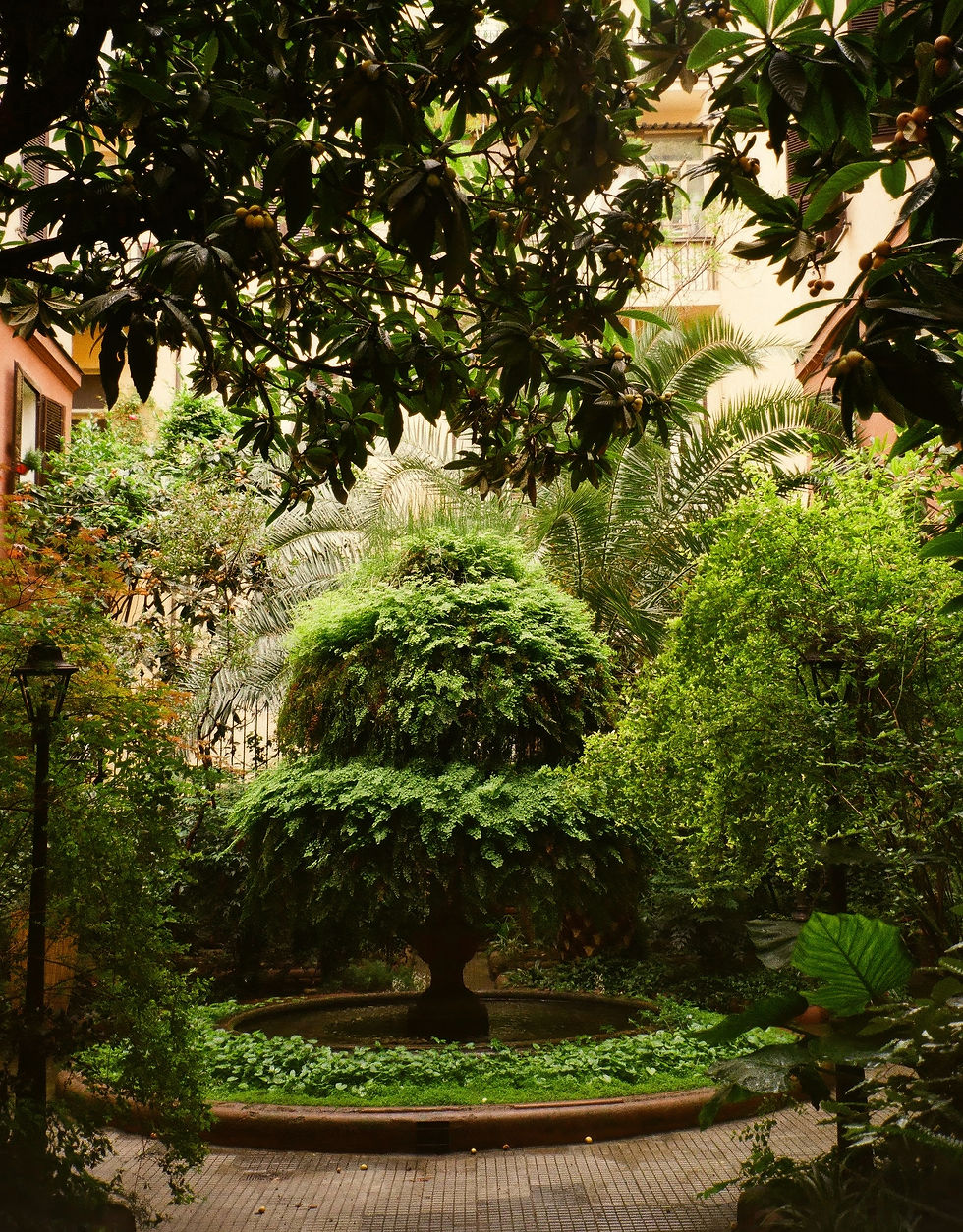 Lush Green Courtyard
