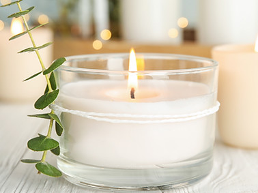 Velas y Plantas