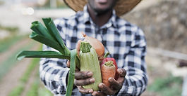 City Council approves first Black Food Sovereignty Plan