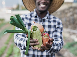 Cosecha de verduras
