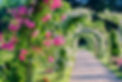 Blumenbogen