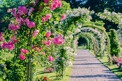 Blommig väg