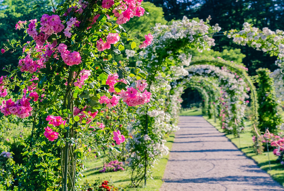 Dirndl Swiss Fashion Sustainable Collection Bergfee Bekleidung Mode und Tracht Handcraft Swissness Swiss