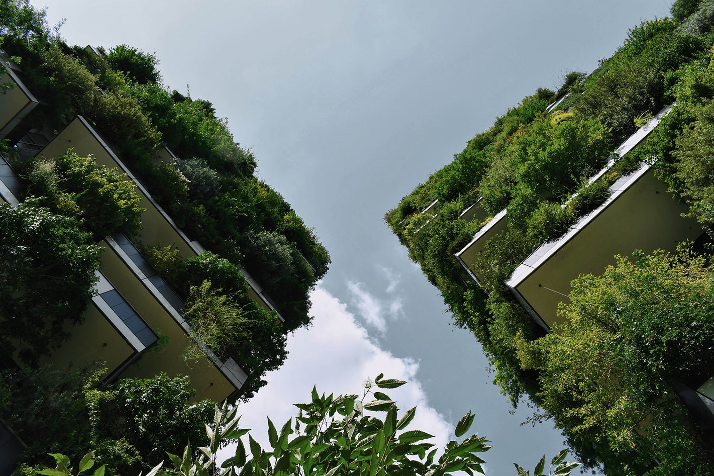 Eco Friendly Buildings