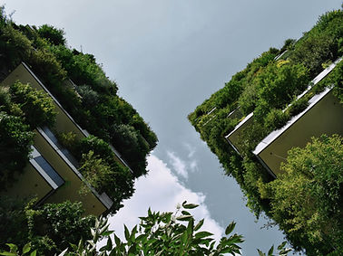 Eco Friendly Buildings