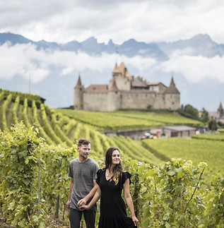 People in a vineyard