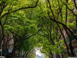 Neighborhood Spotlight: Why Homebuyers Love Westnedge Hill in Kalamazoo