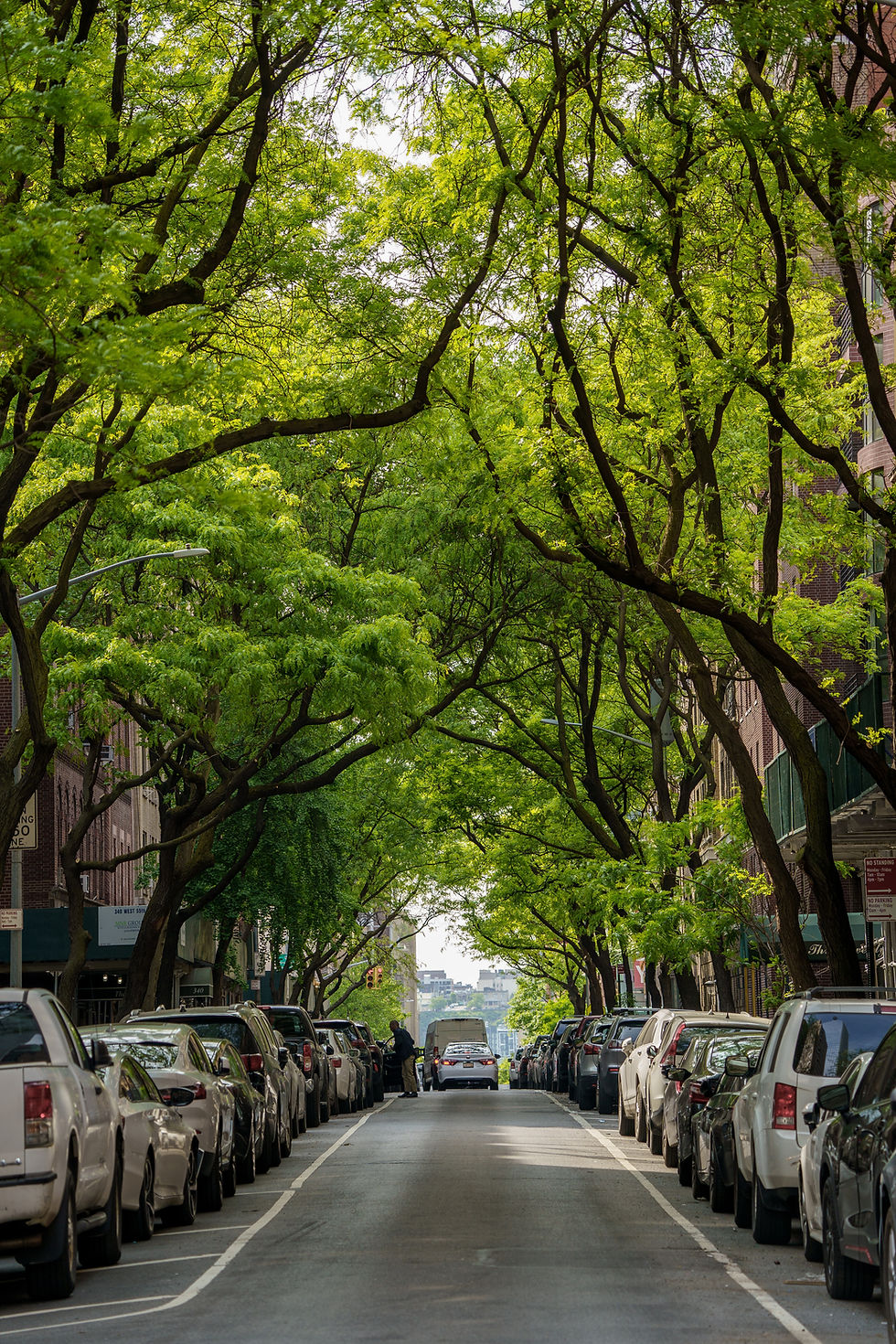 new york brownstone buildings