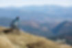 Biker Going Uphill