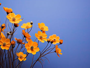 Orange Flowers Closeup
