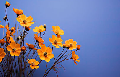 Orange Flowers Closeup