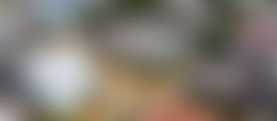 Ready or Not #18: Disaster Readiness