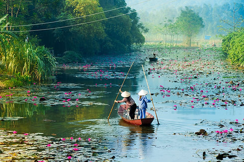 Vietnam, Ha Noi, Yen Stream'de teknelerini kürek çeken Vietnamlı kadınlar
