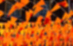 Oranje vlaggetjes