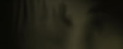 Shadow