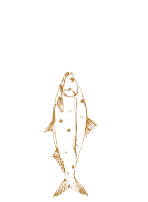Stock sketch of an unidentified lake fish, vertical
