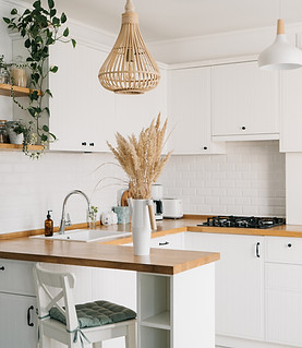 Scandinavian Style Kitchen