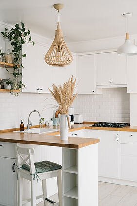 Scandinavian Style Kitchen