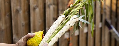 Religious Festival Symbols