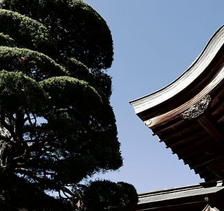 寺院の屋根の木