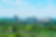 Industrial Facility Landscape