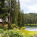 Lakeside Forest Cabin