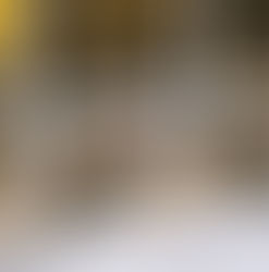 Encante seus Clientes com o Poder do Visual Merchandising em Empórios e Padarias