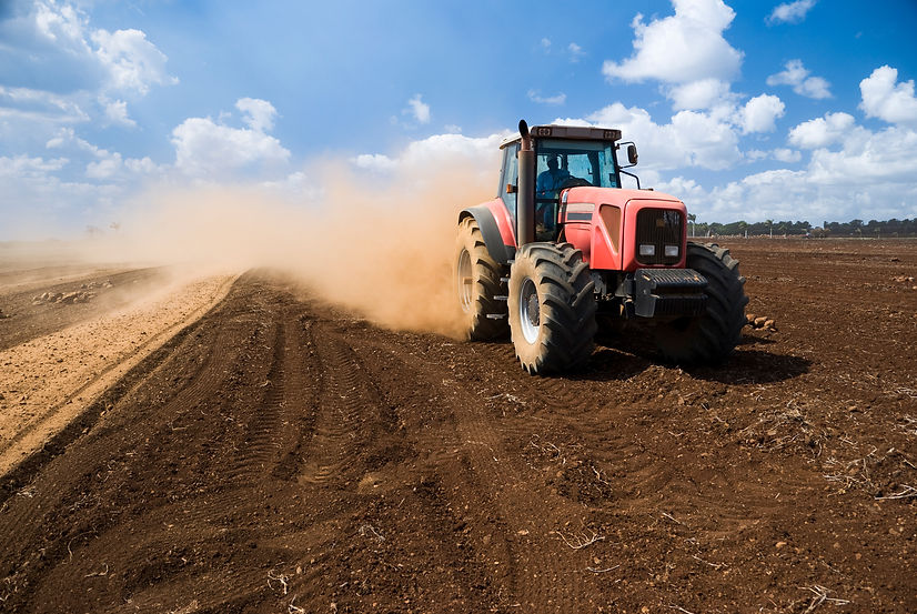 Tractor working in sugar cane field