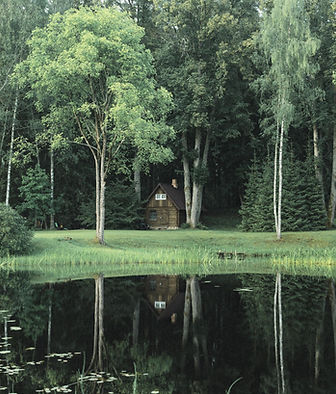 Cabin in the Woods