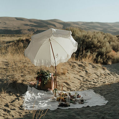 Desert Picnic Scene
